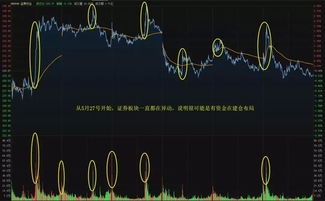 证券股票频繁异动怎么办 证券股票频繁异动怎么办