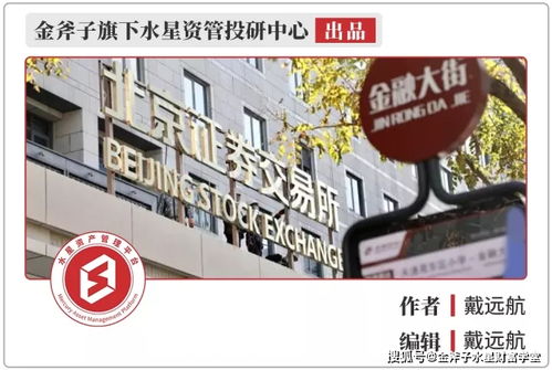 东北证券怎么投资新股