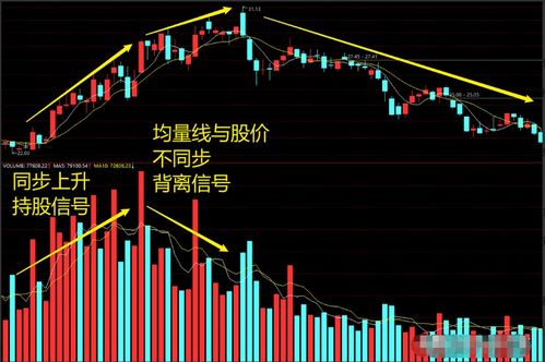 股票如何提高交易量