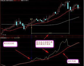 如何看待犹太股票行业