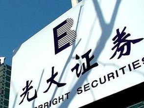 光大证券华能国际怎么样