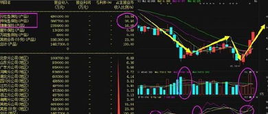 如何选股一只黑马股票