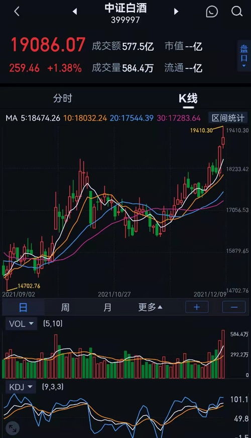 消费证券怎么领