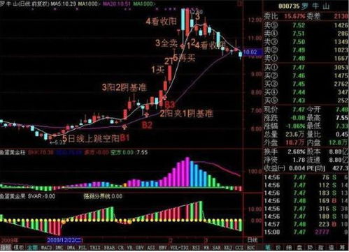 长线股票如何买入 长线股票如何买入
