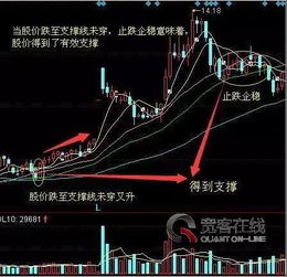 如何找黑马股票 如何找黑马股票