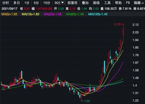 中天证券怎么查利润