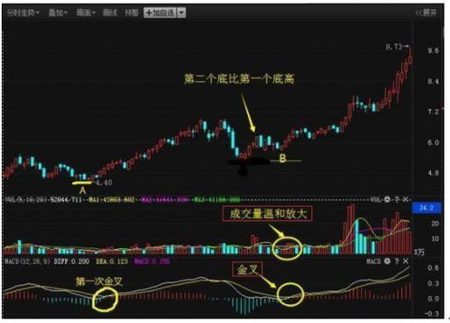 资深投资人如何炒作股票 资深投资人如何炒作股票