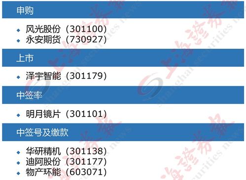 上海证券公司怎么借钱