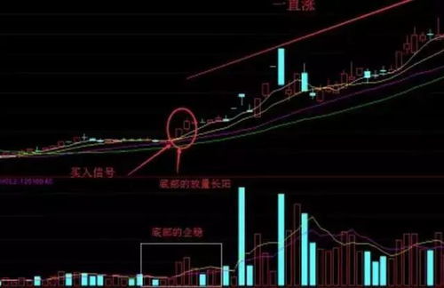 如何精通股票
