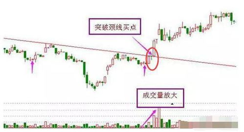 如何整理股票