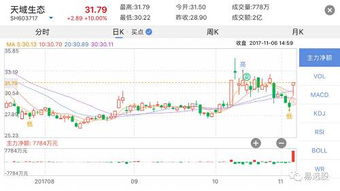 面试股票如何选择