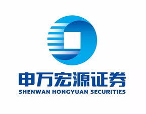 中泰证券怎么卖申万证券