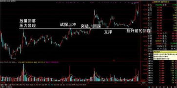 请问股票如何做长线交易