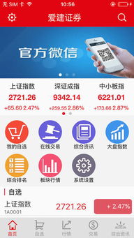爱建证券基金怎么