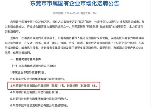 东莞证券怎么招聘