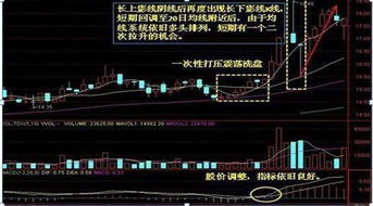 股票如何看懂庄家 股票如何看懂庄家
