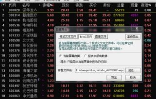 如何禁止股票公式导出 如何禁止股票公式导出