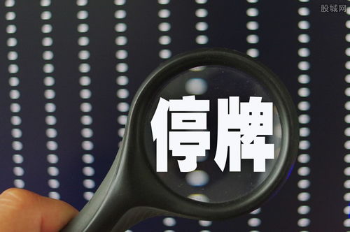 怎么停止证券