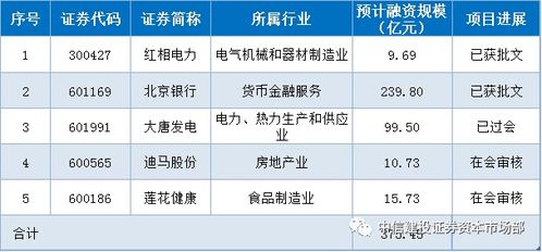 证券公司怎么投项目