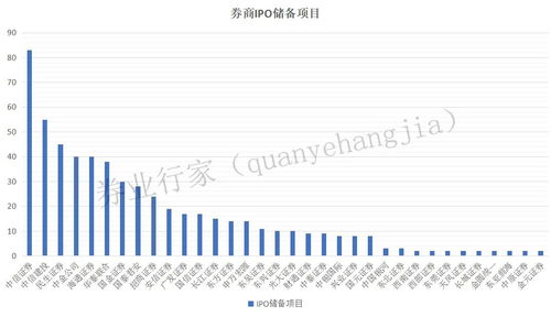 证券公司怎么投项目