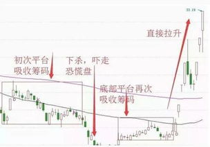 借公司钱买股票如何处理