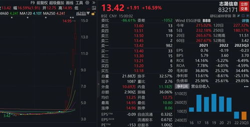 如何查股票交易资金账号