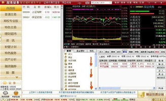 股票如何网络投票 股票如何网络投票