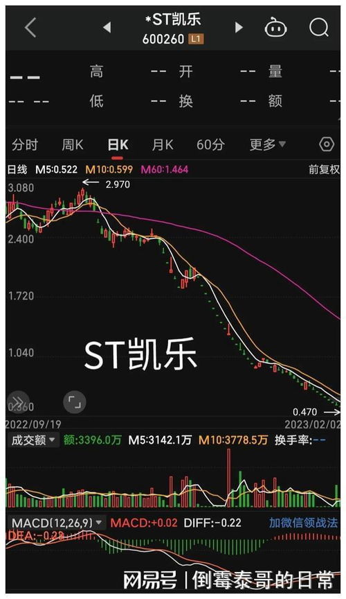 退市股票如何查找