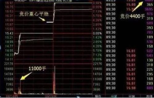 如何集合竞价买卖股票 如何集合竞价买卖股票