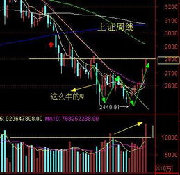 连阳证券怎么样