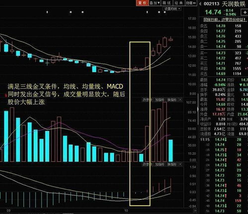股票市场如何收割财富股