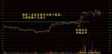 振动制药股票如何分红 振动制药股票如何分红
