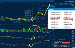 股票净值如何计算跌停