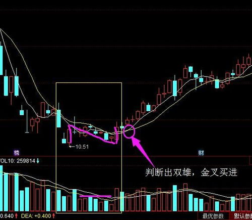 如何看股票tnse 如何看股票tnse