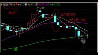 股票教学如何变现