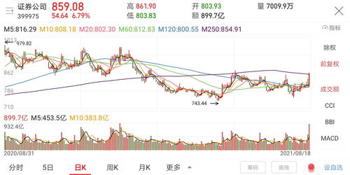 证券大涨怎么炒板块
