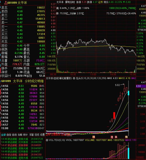 怎么找证券龙头 怎么找证券龙头