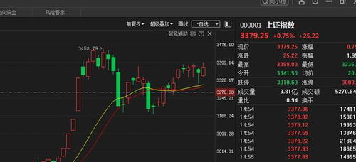 低开后如何调整股票市场