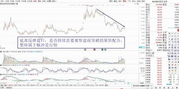 怎么查证券板块