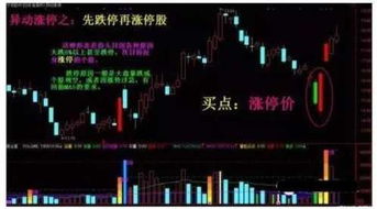 如何看股票三板 如何看股票三板