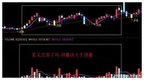 如何看出来股票有庄家卖