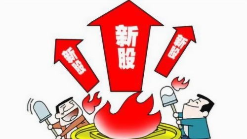 如何进行股票申购