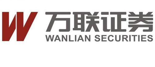 万联证券怎么开定投功能