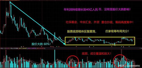 如何投资新加坡股票
