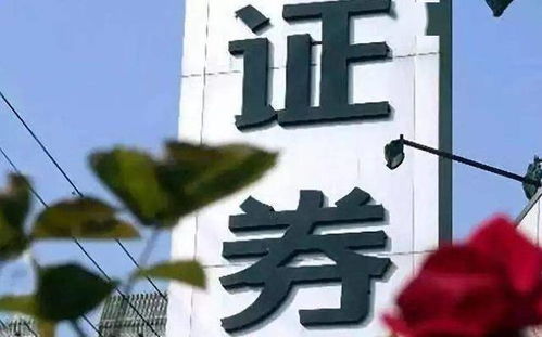 扎差在证券中怎么读