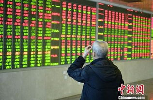 证券要怎么配资才安全