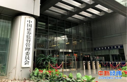 证券要怎么配资才安全