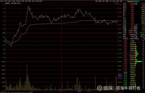 1亿资金如何分配股票