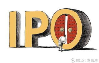 公司发行证券目的怎么写