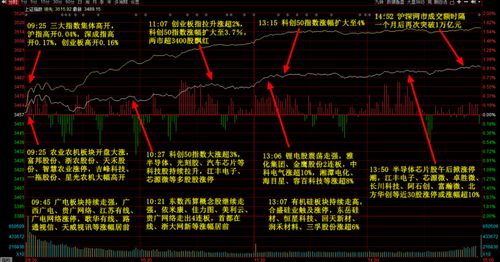 股票大涨后如何加仓的
